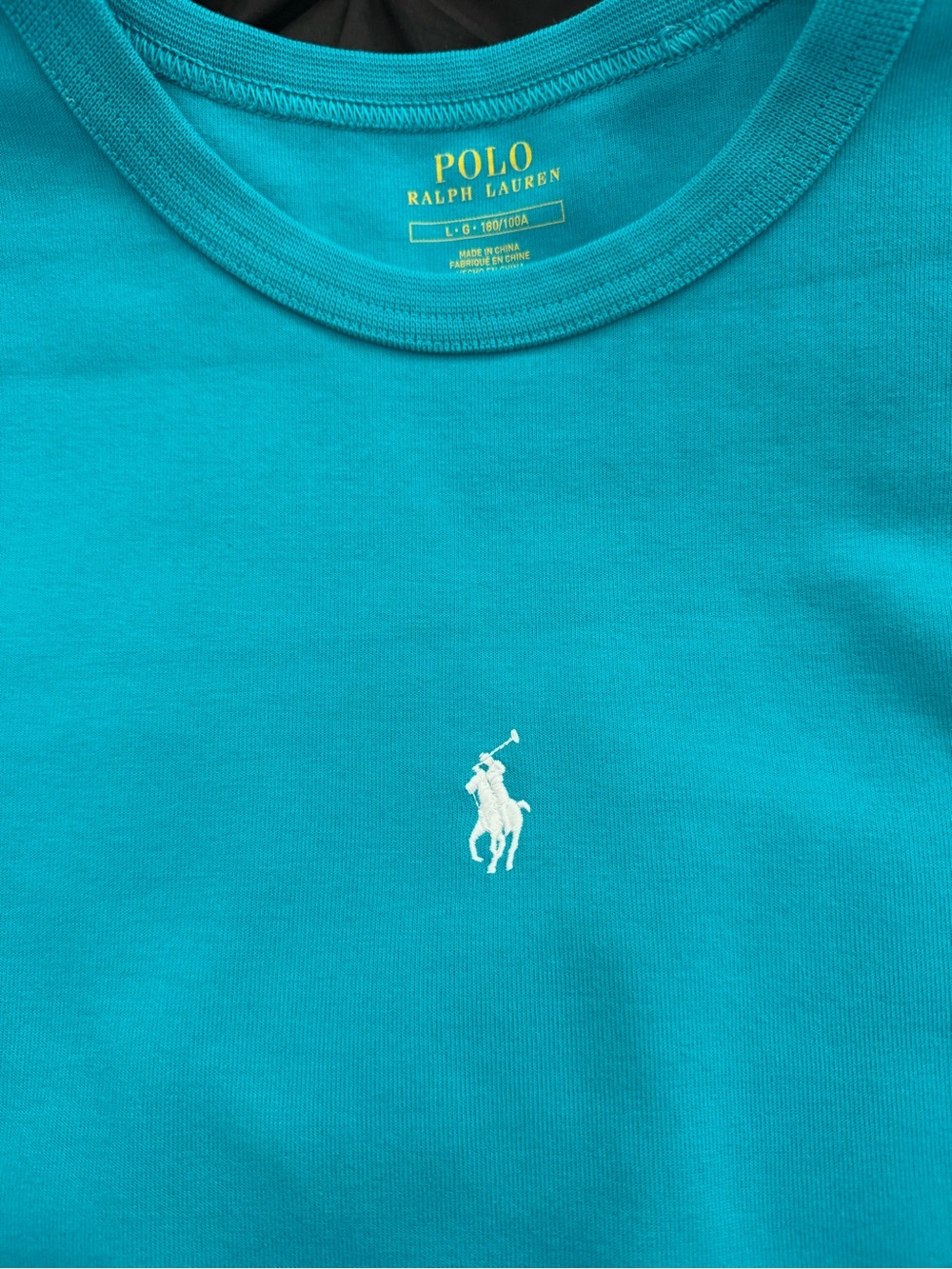 Polo by Ralph Lauren Men’s Teal Crewneck sweatshirt